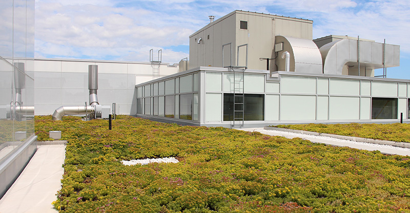 green roof at Toronto Zoo