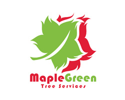 MapleGreen Tree Services