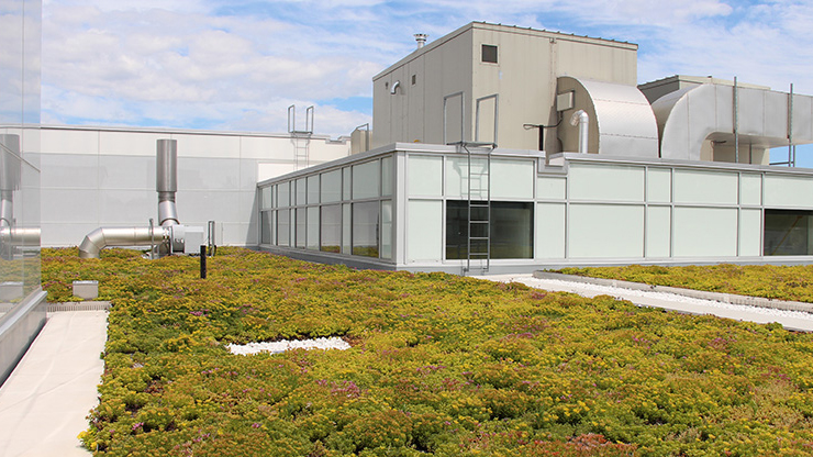 building with grass in front