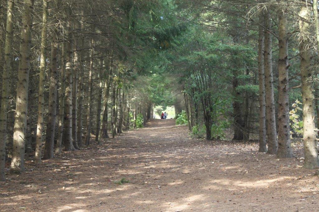 people walking a trail at Kortright