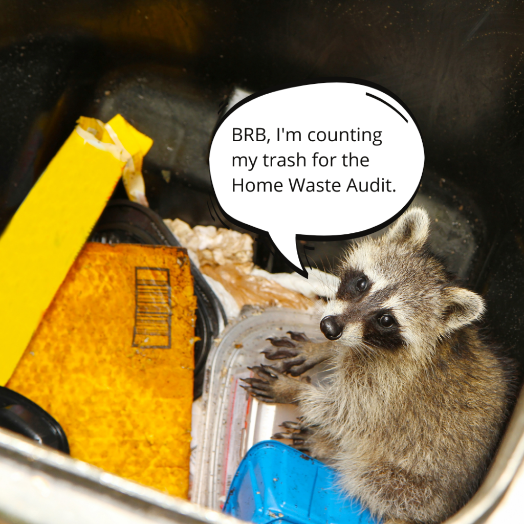 Home Waste Audit - UofT Trash Team Trash Panda (racoon)