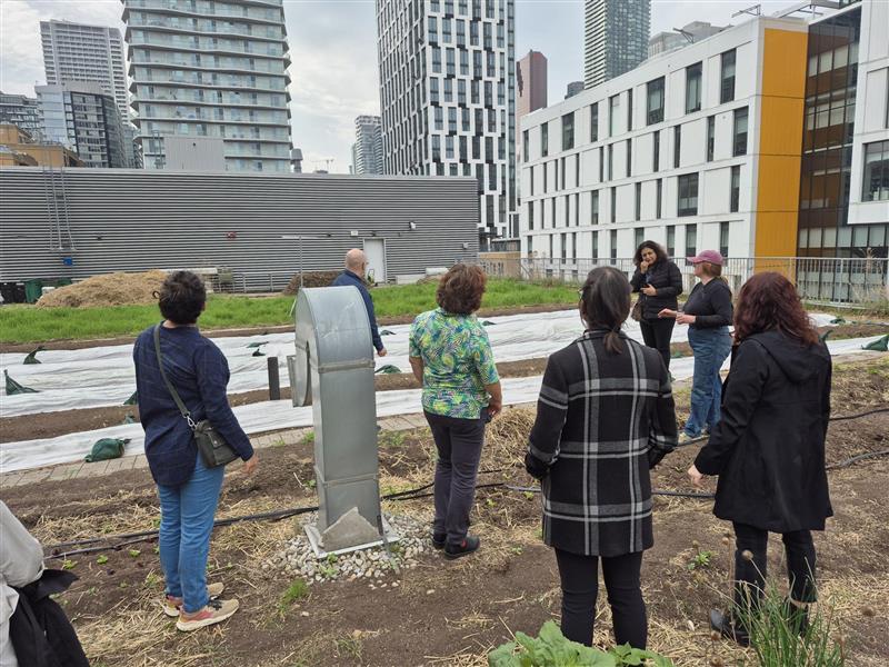 CEC Tours TMU Rooftop Garden